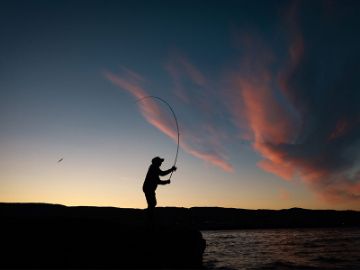 Bilde for kategori Fisking